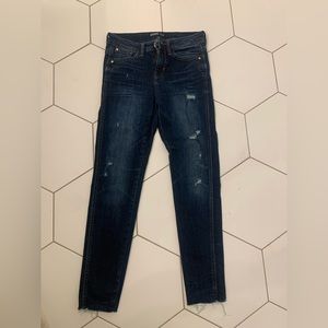 Zara Dark Wash Skinny Jean